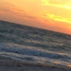 allieb789